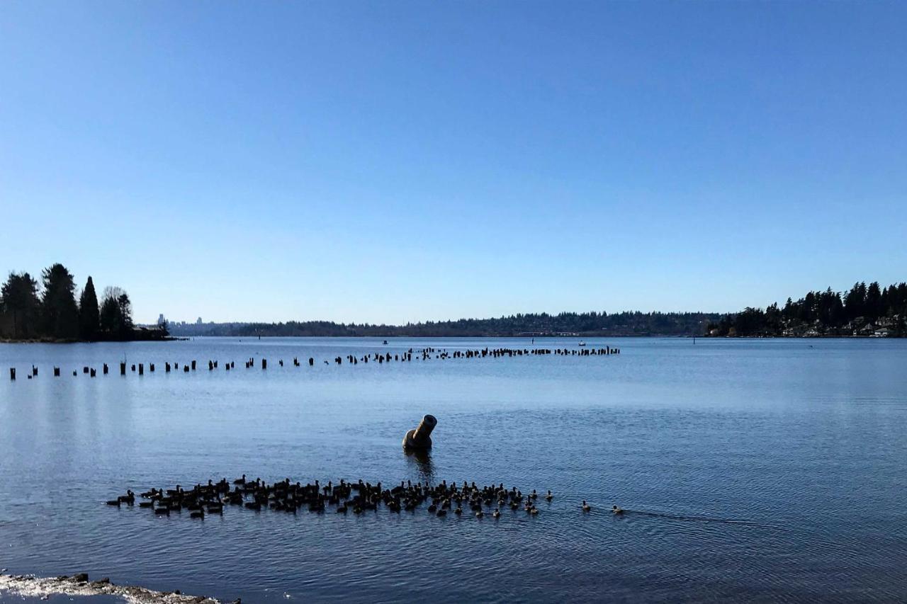 Kenmore Seattle-Area Studio, 2 Mi To St Edward State Park! מראה חיצוני תמונה